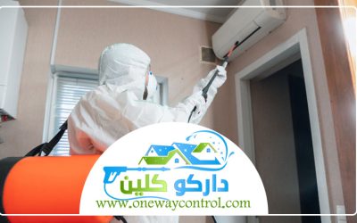 شركة مكافحة حشرات بجدة 0541554993