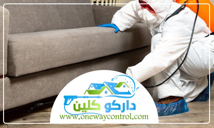 شركة مكافحة الربية بالباحة