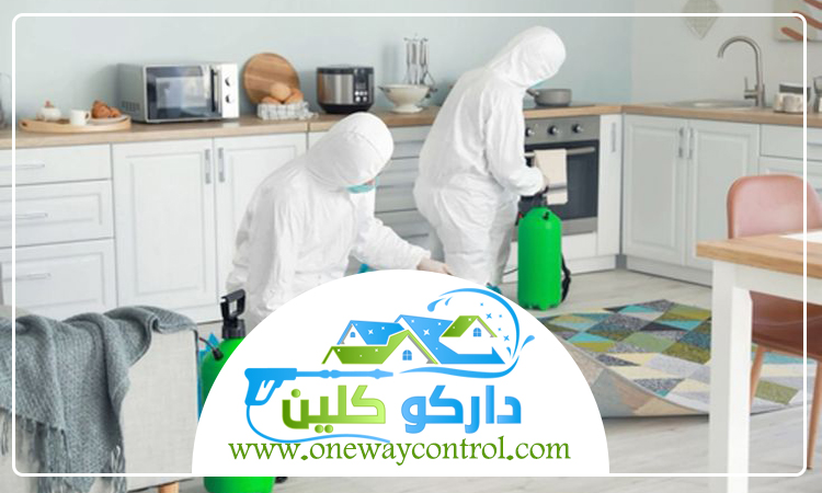 شركة مكافحة الارضه بالباحة 3 شركة مكافحة الارضه بالباحة
