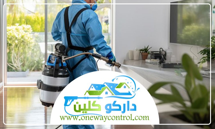 شركة رش دفان بمكة