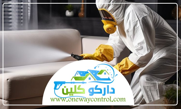 شركة رش دفان بمكة 5 شركة رش دفان بمكة