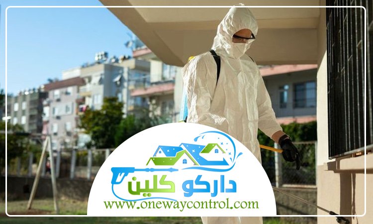 شركة مكافحة الارضة بخليص