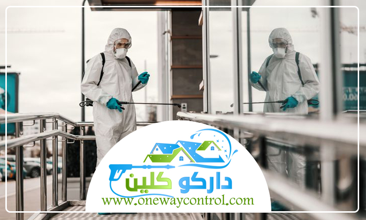 شركة مكافحة الارضة بخليص 3 شركة مكافحة الارضة بخليص