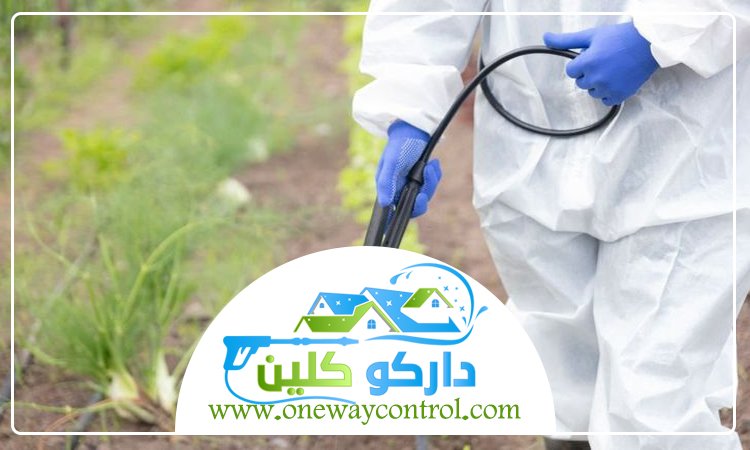 شركة مكافحة العتة بمكة 4 شركة مكافحة العتة بمكة