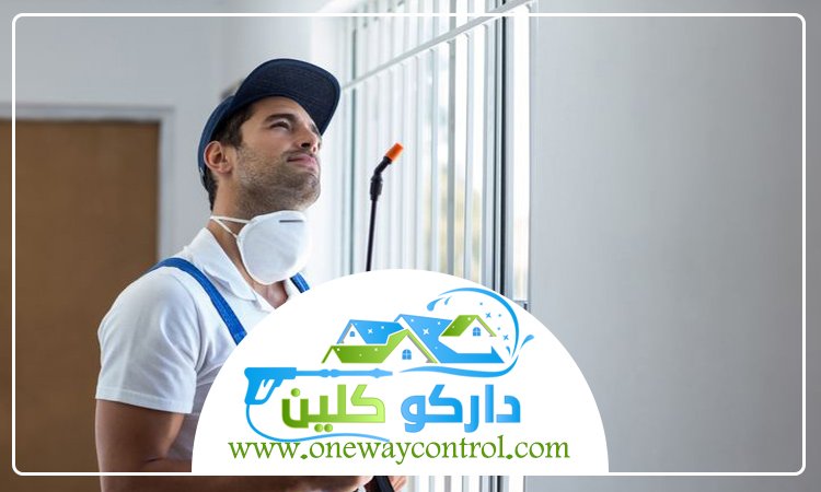 شركة مكافحة العتة بمكة 3 شركة مكافحة العتة بمكة