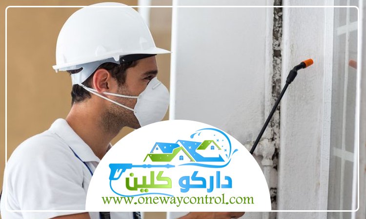 شركة مكافحة الربية بجدة