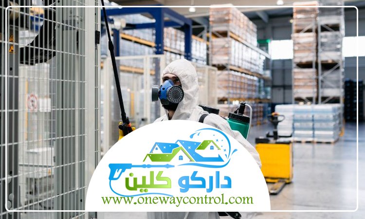 شركة مكافحة الربية بجدة 3 شركة مكافحة الربية بجدة