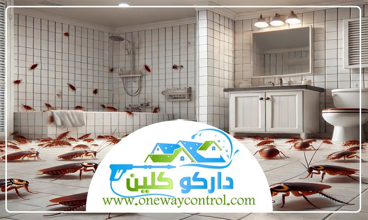 كيفية القضاء على الصراصير الصغيرة 9 كيفية القضاء على الصراصير الصغيرة