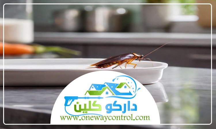 شركة مكافحة صراصير