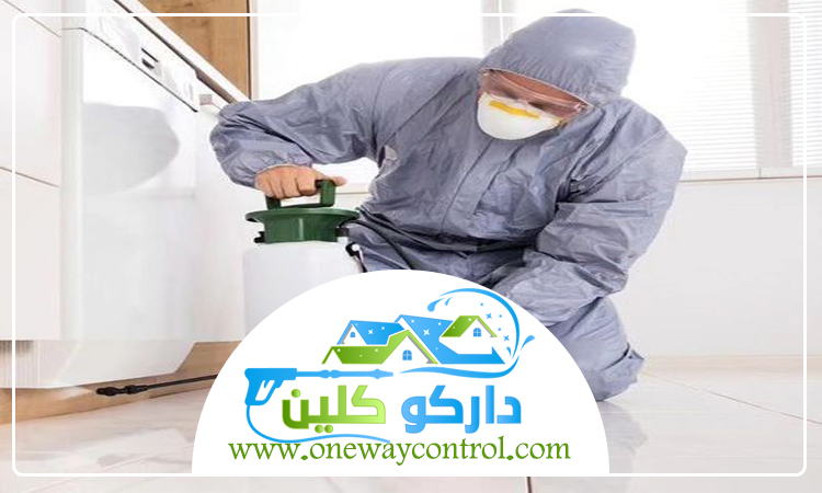 شركة مكافحة الارضة بمكة 3 شركة مكافحة الارضة بمكة