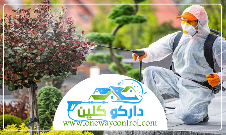شركة مكافحة الارضه بالباحة 2 شركة مكافحة الارضه بالباحة
