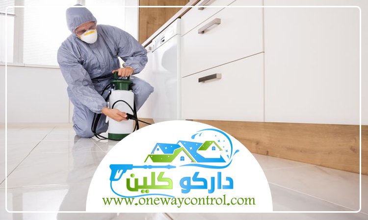 شركة مكافحة الربية بالباحة