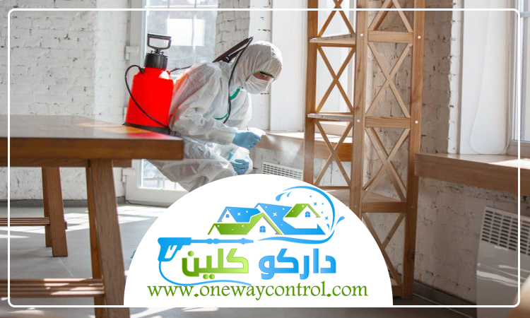 شركة مكافحة الارضة بالطائف 3 شركة مكافحة الارضة بالطائف