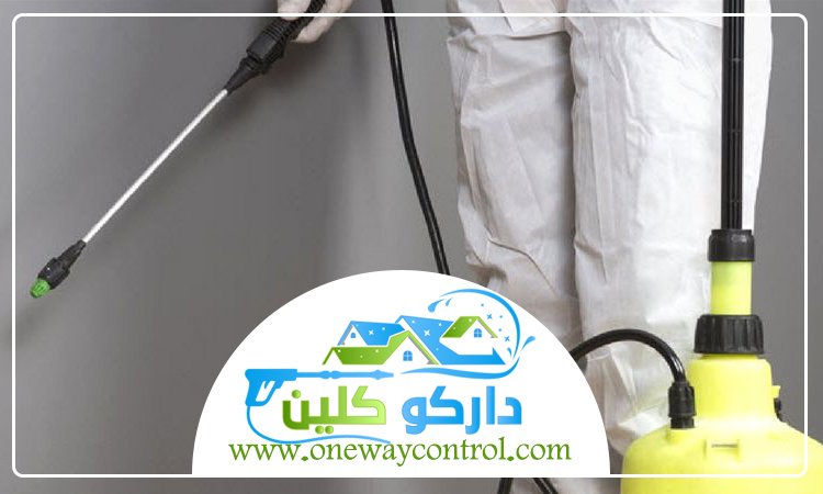 شركة مكافحة النمل الابيض بالقنفذه 69 شركة مكافحة النمل الابيض بالقنفذه