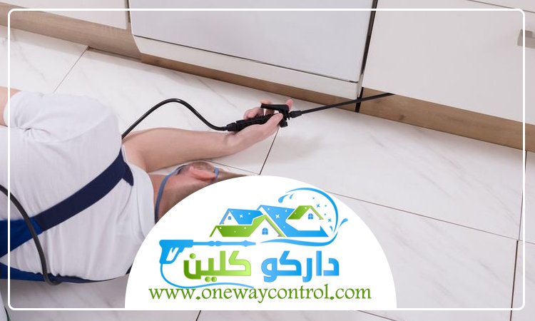 شركة مكافحة النمل الابيض بالقنفذه