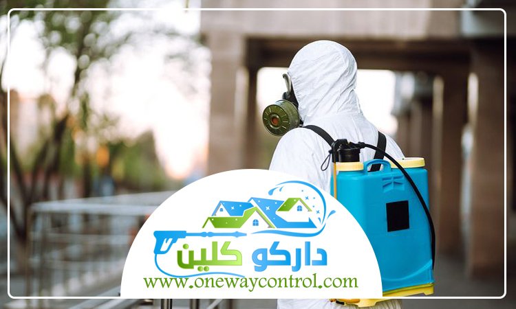 شركة مكافحة النمل الابيض بالقنفذه