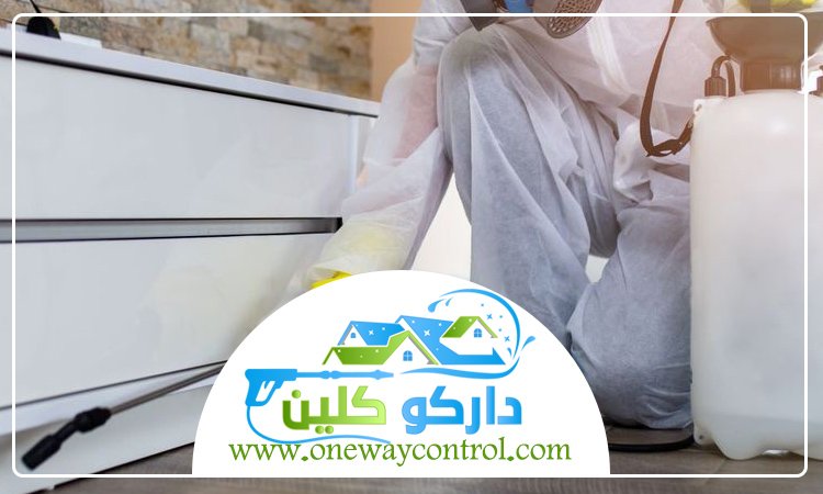 شركة مكافحة النمل الابيض بالقنفذه