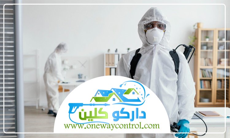 شركة مكافحة السوس بالمدينة المنورة 3 شركة مكافحة السوس بالمدينة