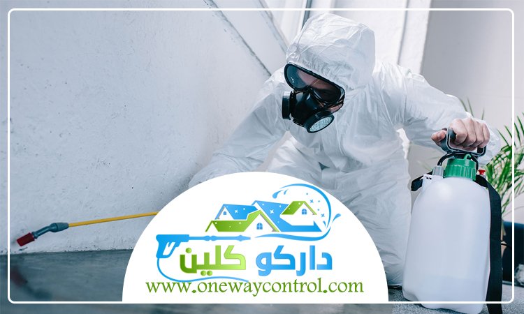 شركة مكافحة السوس بالمدينة المنورة 5 شركة مكافحة السوس بالمدينة