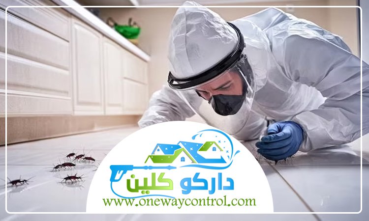 شركة مكافحة حشرات بالمدينة المنورة 25 مكافحة حشرات