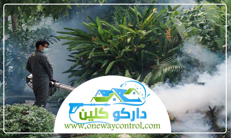 شركة رش دفان بالمدينة المنورة 45 شركة مكافحة الوزغ بالمدينة