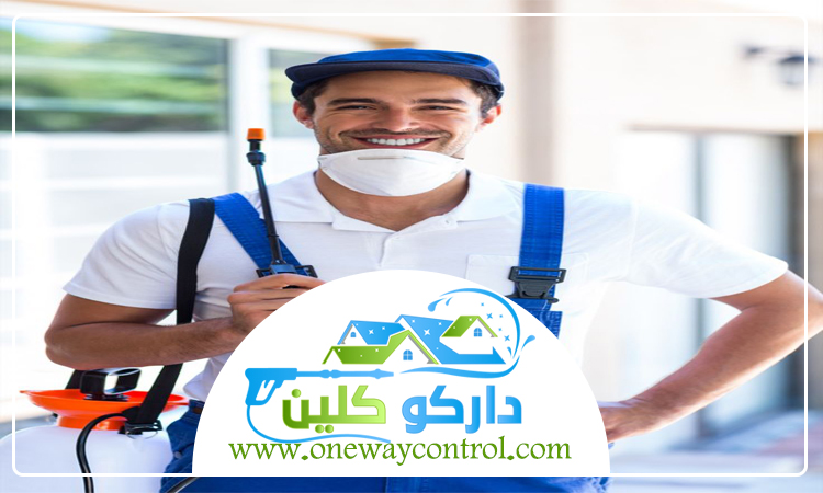كيفية القضاء على الصراصير بدون مبيدات 3 كيفية القضاء على الصراصير بدون مبيدات