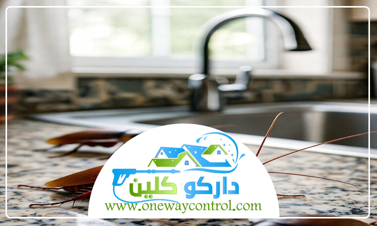 كيفية القضاء على الصراصير بدون مبيدات 1 كيفية القضاء على الصراصير بدون مبيدات