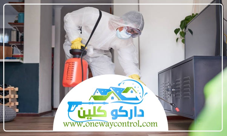 شركة مكافحة حشرات بالمدينة 