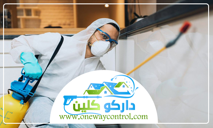 كيفية التخلص من الصراصير في الثلاجة