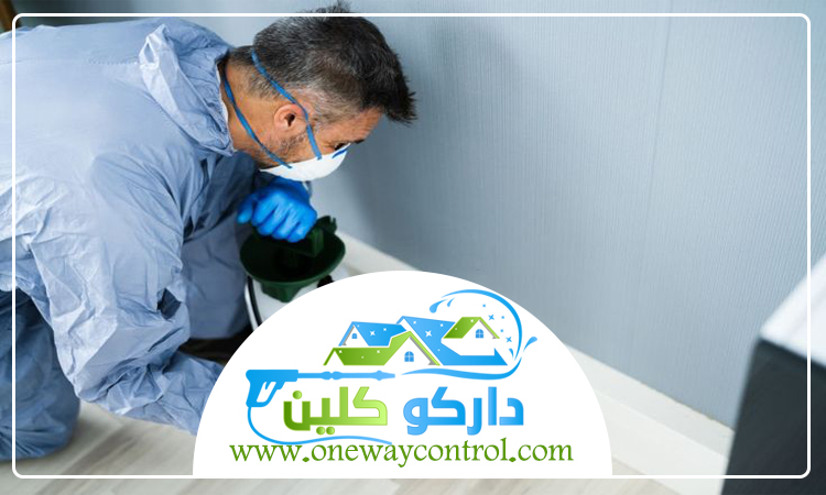 كيفية القضاء على الصراصير الصغيرة 3 كيفية القضاء على الصراصير الصغيرة