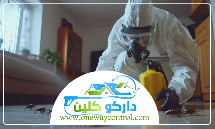 كيفية القضاء على الصراصير الصغيرة 1 كيفية القضاء على الصراصير الصغيرة