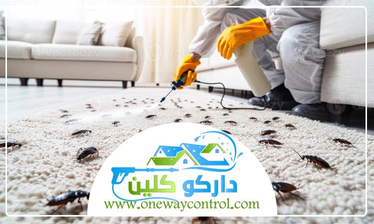 كيفية القضاء على الصراصير 2 كيفية القضاء على الصراصير