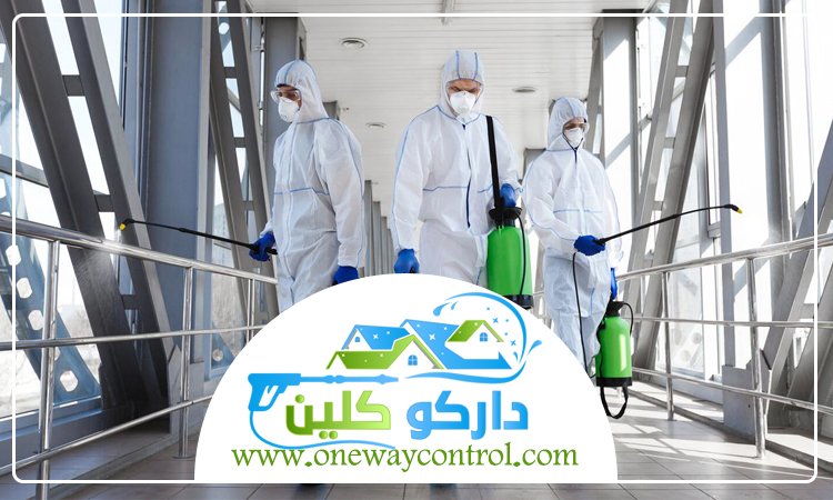 كيفية ابادة الصراصير من المنزل 3 كيفية ابادة الصراصير من المنزل