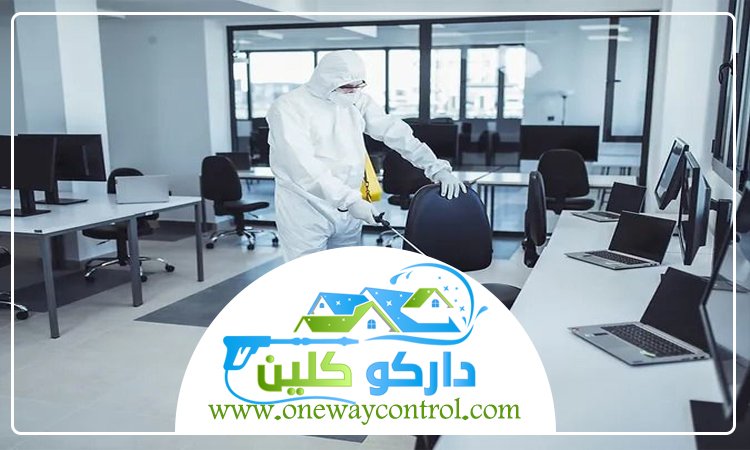 شركة مكافحة الصراصير بمكة 4 شركة مكافحة الصراصير بمكة