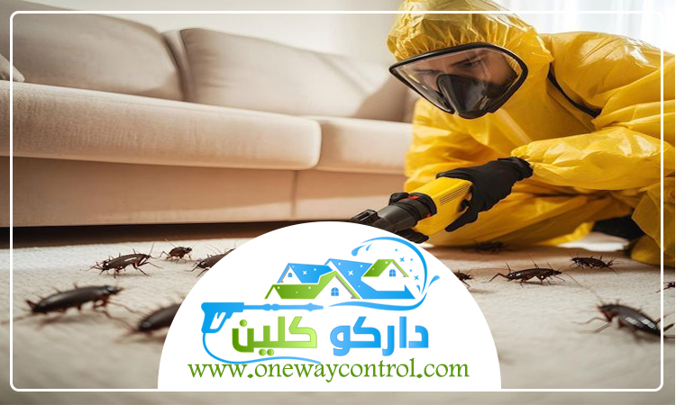 شركة مكافحة صراصير بالطائف