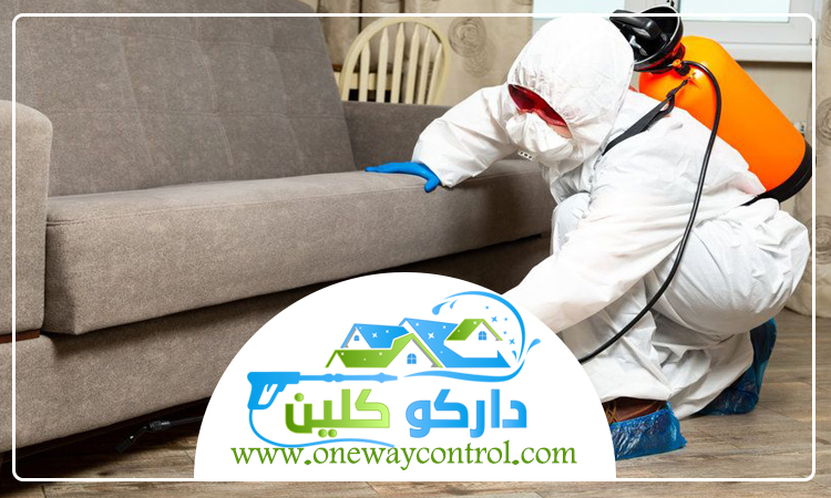 شركة مكافحة صراصير بعسفان 1 شركة مكافحة صراصير بعسفان