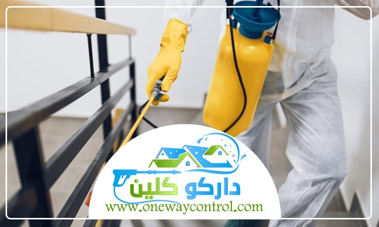 شركة مكافحة النمل الاسود بالمدينة