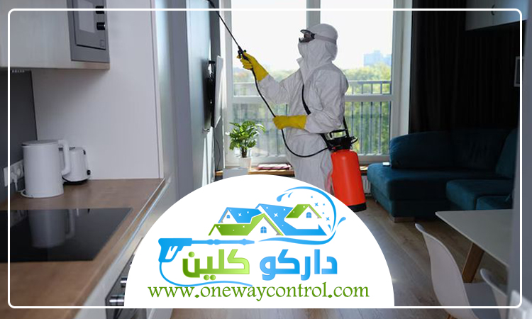 شركة مكافحة صراصير بخليص 2 شركة مكافحة صراصير بخليص