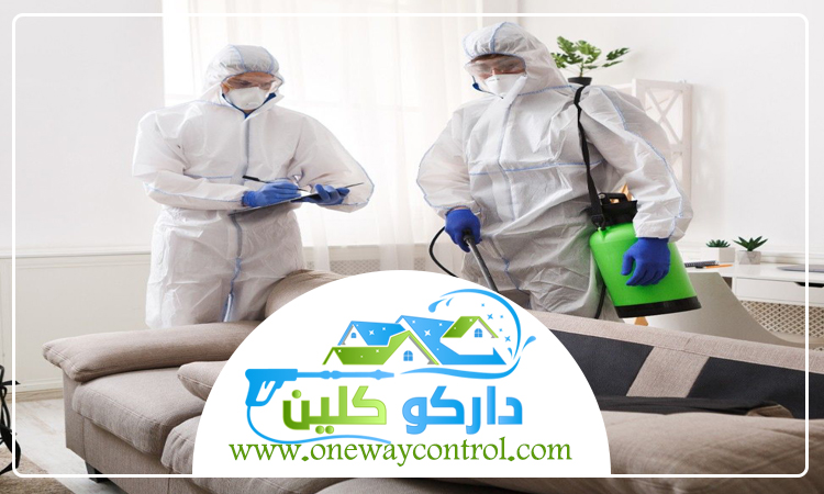 شركة مكافحة صراصير بخليص 1 شركة مكافحة صراصير بخليص
