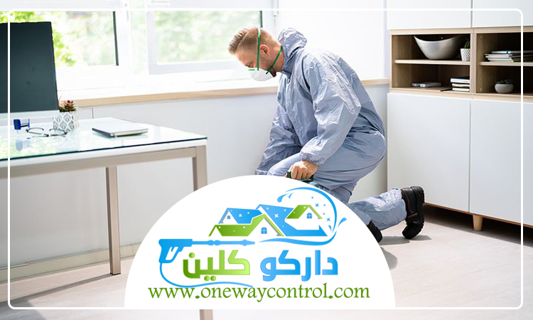 شركة مكافحة الصراصير بالمدينة المنورة 3 شركة مكافحة الصراصير بالمدينة المنورة