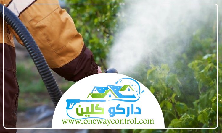 شركة مكافحة النحل بمكة 3 شركة مكافحة النحل بمكة