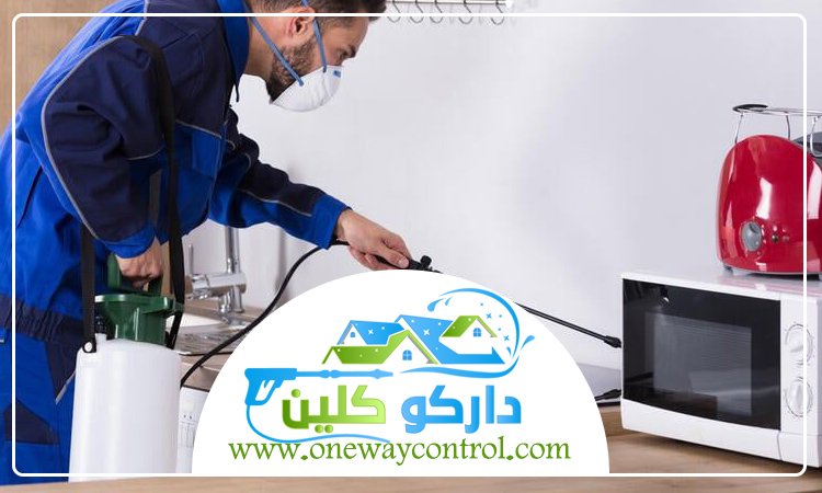 شركة مكافحة الناموس بالمدينة المنورة