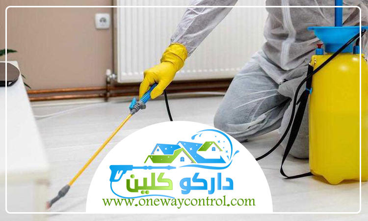شركة مكافحة السوس بجدة 2 شركة مكافحة السوس بجدة