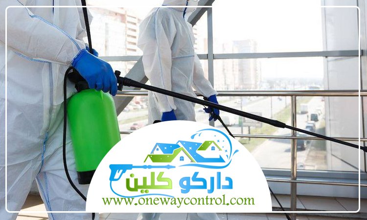شركة مكافحة بق الفراش بجدة