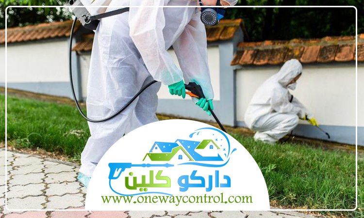 شركة مكافحة البعوض بمكة 3 شركة مكافحة البعوض بمكة