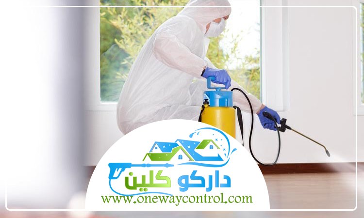 شركة مكافحة السوس بالمدينة المنورة 4 شركة مكافحة السوس بالمدينة المنورة
