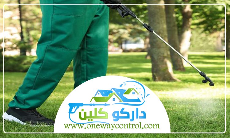 شركة مكافحة النحل بالمدينة المنورة 3 شركة مكافحة النحل بالمدينة المنورة