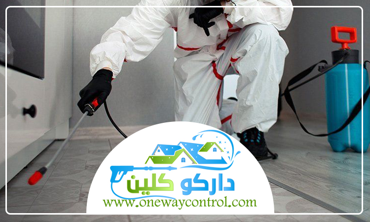 شركة مكافحة السوس بجدة 3 شركة مكافحة السوس بجدة