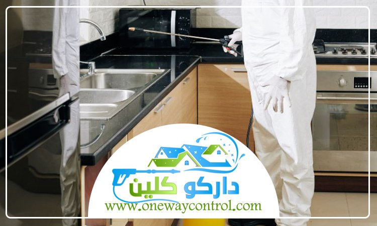 شركة مكافحة حشرات بمكة 2 شركة مكافحة حشرات بمكة