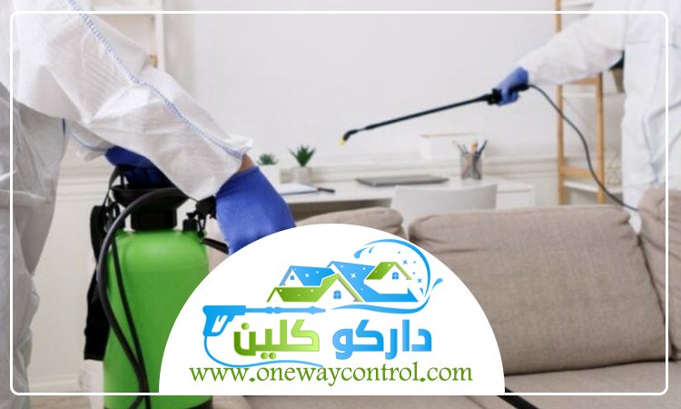 شركة مكافحة بق الفراش بمكة 5 شركة مكافحة بق الفراش بمكة